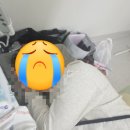 전원각 이미지