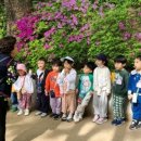 동초병설유치원 이미지