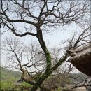 남사-2 이미지