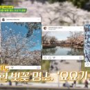 뉴욕파크호스텔 이미지