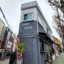 그레이덕(grey duck)