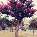 경포로 이미지