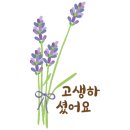 다시 네이버블로그