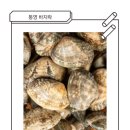 통영어패류 이미지