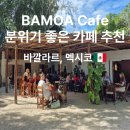 카페cafe toast | 멕시코 바깔라르 여행, 현지인 추천 분위기 좋은 카페 BAMOA Cafe