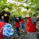 김종찬농장 이미지