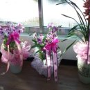 초봉농장 이미지