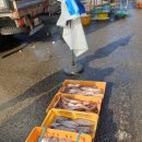 대관령전망대 이미지