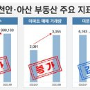 아산미래개발