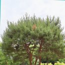 도립화목원 이미지