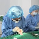 첨단우리병원 | 광주서구동물병원 많은 보호자님들이 타지에서도 광주첨단YB를 찾아와주시는 이유?