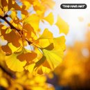 나무미술교습소 - 강남구 개포로22길 100 | 나무미술교습소