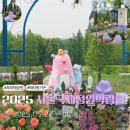 [보라매공원] 2025 서울국제정원박람회 반려식물 구매후기 (메타몽가든 위치, 주차 꿀팁)