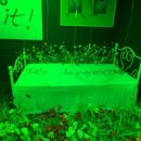 키티홀릭 이미지