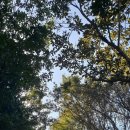 김수로의원 | 남해 금산 보리암 주차, 입장료, 포토존 그리고 방문 후기