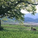 시인과농부 이미지