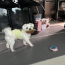 [블챌/주간일기 챌린지] 10월1주