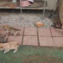 벌말농원 이미지