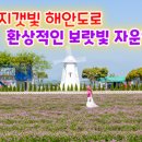 무지갯빛 이미지