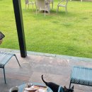 스테이 그리다 이미지