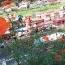 호운농장 이미지