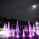 소망캠핑장 이미지