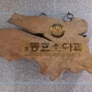 정동호소아과의원 네이버블로그
