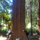 현호농장 이미지