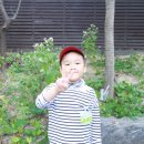 베네딕도유치원 이미지