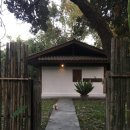 청춘 요가(60세 이상) | 치앙마이 감성 숙소 호시하나 리조트 수영장 조식 요가 후기