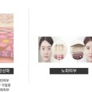 레디언스