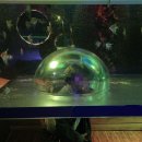 대학로1L-10 | [그날기록] 260320–22 여수 여행 | 트친이 내게 온다는 건 너무 수동적이다 내가 트친에게로 간다