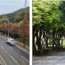 특화가로수길 네이버블로그