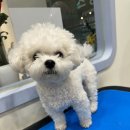 Mong's(몽'스) 이미지