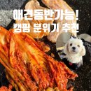 (주)문 | 광주 애견동반 식당 캠핑 느낌 낼 수 있는 첨단 ntmu 내돈내산 후기