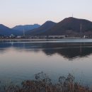 꿈바라기 이미지