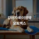 체리쉬독 | 강아지 외이염약 오토맥스 강아지 귀 염증 치료 비법