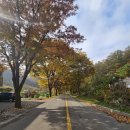 구룡스테이 이미지