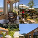 경산 풍경 좋은 반곡지 카페[윌로우 반곡247]-봄나들이 장소 추천