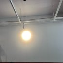 신정애견 | 서울 신정역 카페 내작 방문후기 *애견동반 가능*