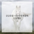 꿀꿀이야기 이미지