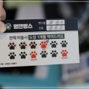 멍앤멍스 이미지