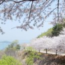 삼길포 관광안내소 이미지
