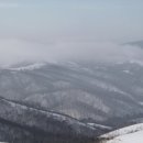 강릉목장 이미지