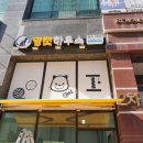 영캣 이미지