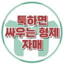 [툭하면 싸우는 형제 자매 서열] 싸움,갈등,발달,또래,사회성,아동상담,대치동,강남,한국아동청소년심리상담센터 이미지