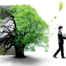 강산장묘 - 창원시 마산회원구 북성로 130 | 강산장묘