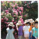 열린자리어린이집 이미지