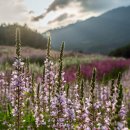 국립백두대간수목원 판매센터 이미지
