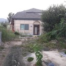 신니면사무소 이미지